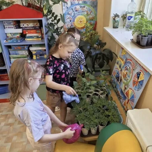 Удивительный мир семян: занятие в старшей группе.